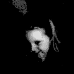 295809_124806374341192_764437655_n.jpg