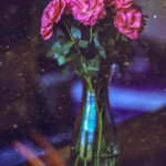 roses