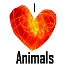 I_love_animals_thumb_500_500.JPG