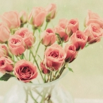 tumblr_mke3izoY6C1rua4pso1_500_large.jpg