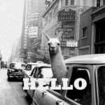hello láma :DD