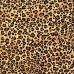 Leopard Print_112.jpg