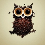 coffee-owl-abstract-wallpaper-510x286.jpg