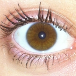 eye