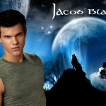 Jacob-Black-Wolf-twilight-series-17273251-1024-768.jpg
