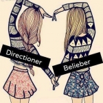 directioner.jpg