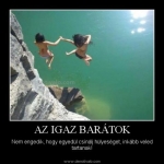baratok2.jpg