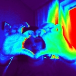 webcam-toy-photo6.jpg
