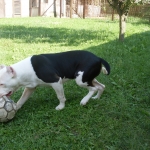 Zoe a labdával harcol
