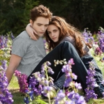 Film-Fall_Preview_Fall%20Preview_JPEG-0927f-1234.jpg