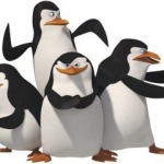 madagascar-penguins.jpg