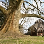 hobbit