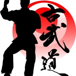 karate1.jpg
