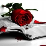 wonderful-love-me-red-rose-wallpaper-150x150.jpg