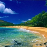 maui.jpg