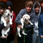 1-Direction-Wiv-2-Adorable-dogs-x-one-direction-17140678-500-360.jpg