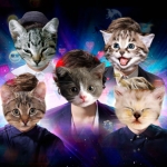 vma_catsonedirection.jpg