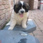 Nina 2010.jpg