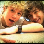 Niall-Liam-niall-horan-one-direction-30067458-960-638_large.jpg
