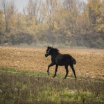 DSC_0091.jpg