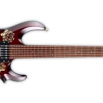 Hizaki gyönyörű gitárja