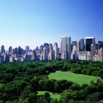 nyar-new-yorkban.jpg