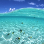 hawaii.jpg