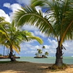 hawaii3.jpg