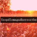 tumblr_mnxrkm2l3r1srv5kfo1_500.jpg