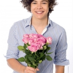 1d_collectors_harry_poster_400_188c60m-188c63m.jpg