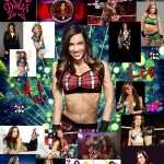 wwe-diva-aj-lee-source.jpg