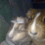20130709718.jpg