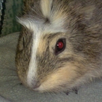 20130709714.jpg