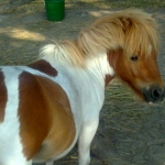 20130718983.jpg