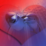 love-14Delfinek a szívben.jpg
