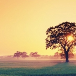 wonderful-wallpapers-23-610x381.jpg
