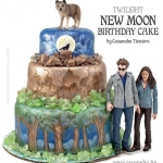 new_moon_torta_465467_79032.jpg