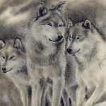 my drawings