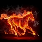 fire horse