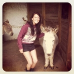 jade & donkey.jpg