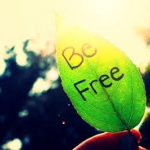 Be free.jpg
