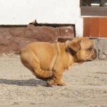1000_kuty_20130406_160220.jpg