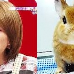 onew vs nyúl