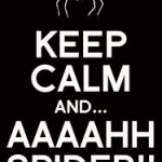 keep_calm_and_..._aaaahh_spider!!