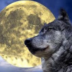 farkas