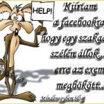 imagesCAHVZHJX.jpg