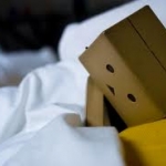 boxman9.jpg