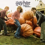 the-golden-trio-harry-ron-and-hermione-13198590-1280-1024.jpg