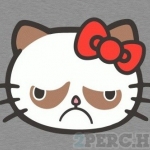 Grumpy cat.jpg