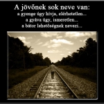 SOK (265).jpg